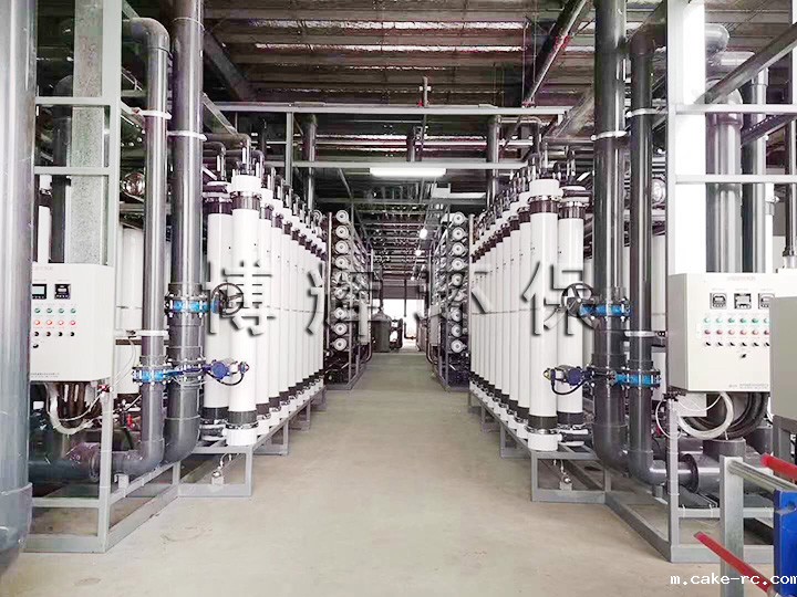 纯水处理装置